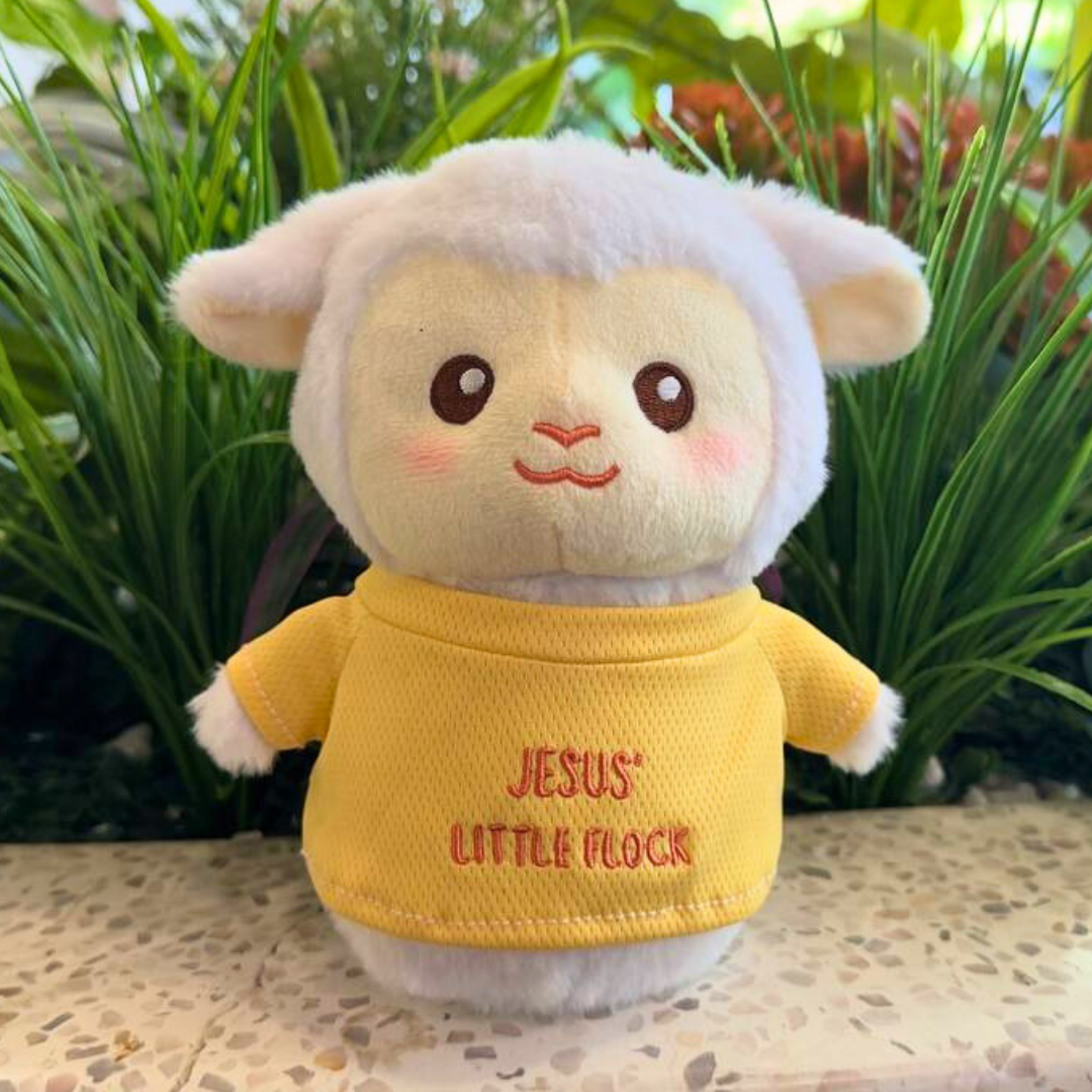 Good Shepherd Jesus Plushie Set
